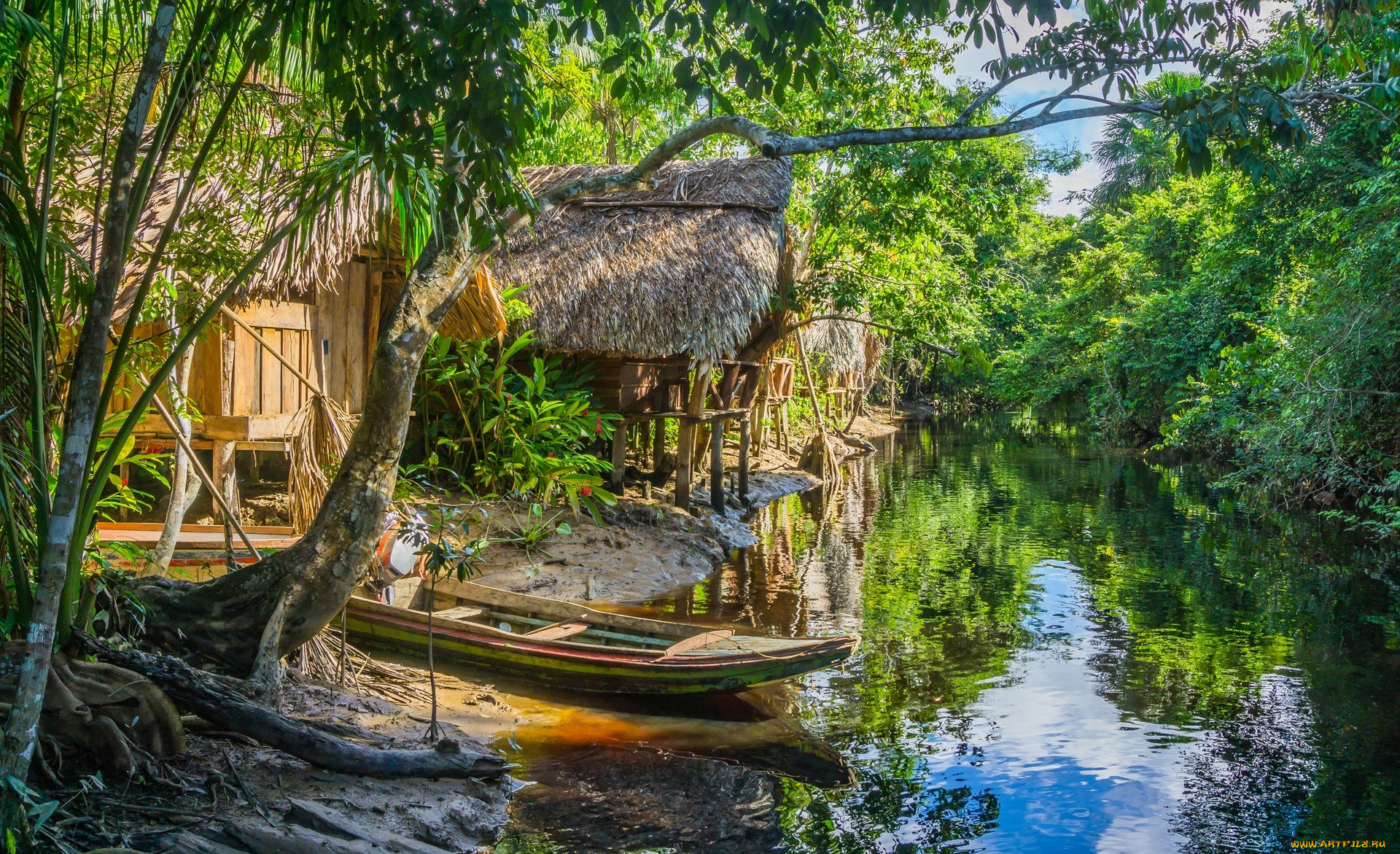 Jungle village